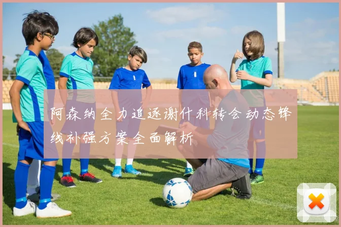阿森纳全力追逐谢什科转会动态锋线补强方案全面解析